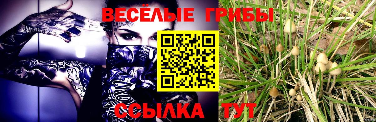 Галлюциногенные грибы Magic Shrooms Златоуст