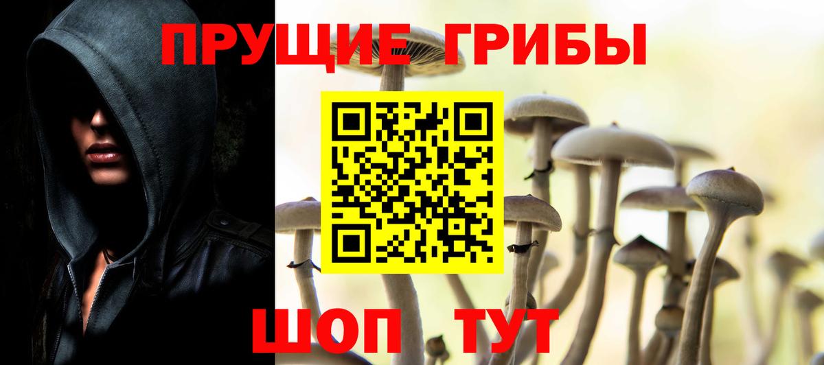 Псилоцибиновые грибы Psilocybine cubensis  Галлюциногенные грибы Psilocybe  Златоуст  Вход с VPN 